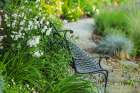 Bremerton, Washington State. Garden with wildflowers. Art Print
